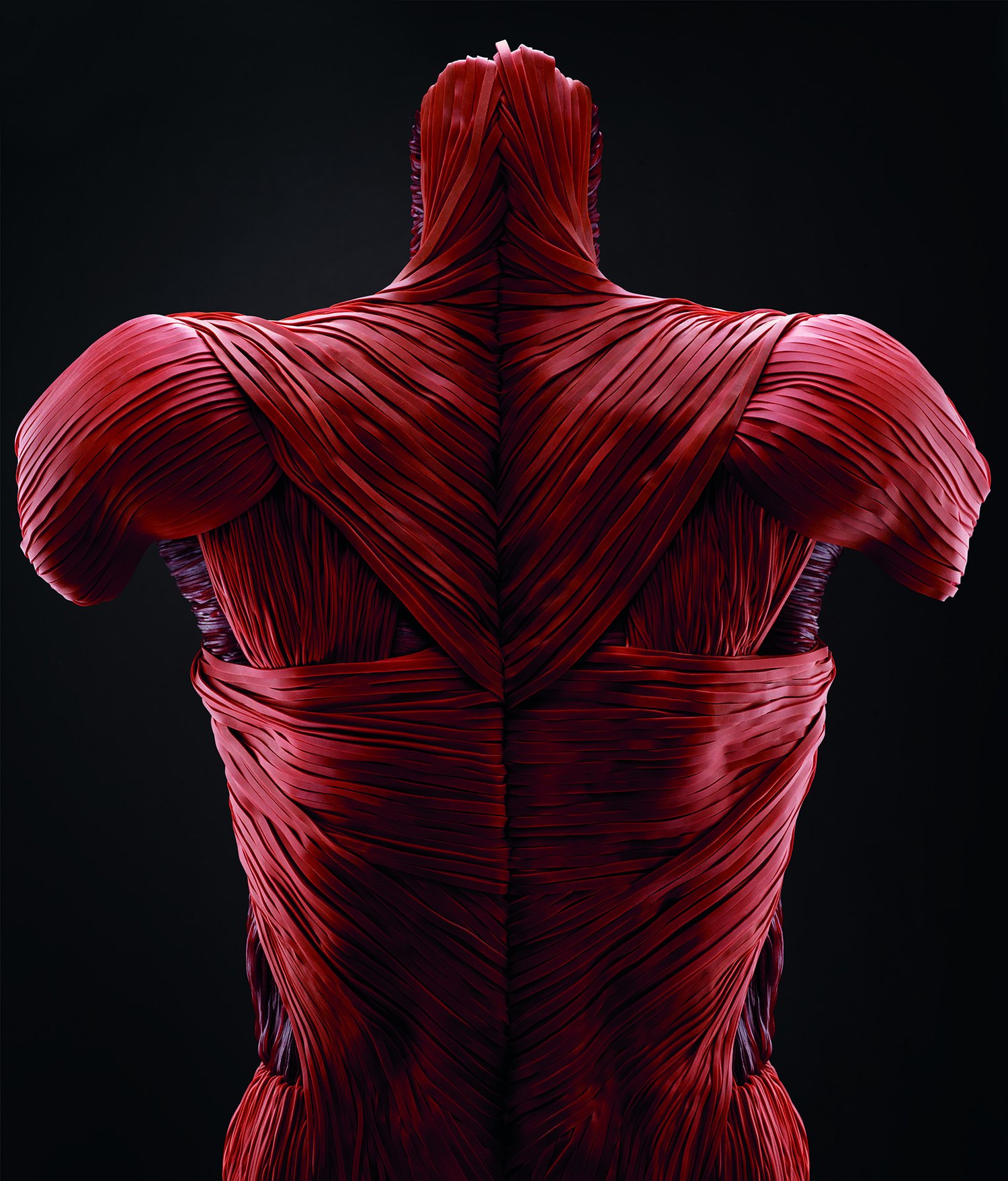 Deep back muscles — the neck, shoulders and lower back where desk tension builds